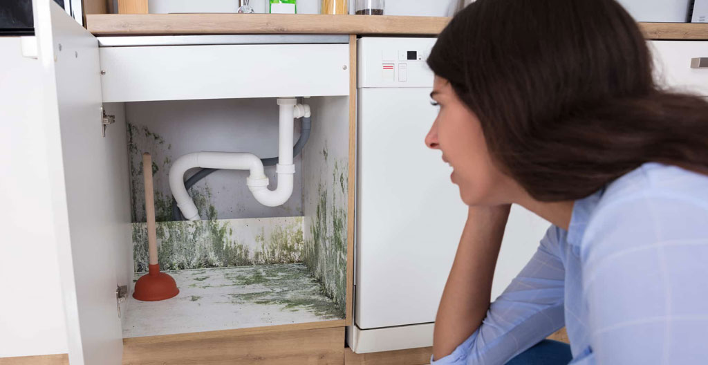Gros plan sur des mains tenant une lampe torche inspectant sous un évier de cuisine avec des produits ménagers autour